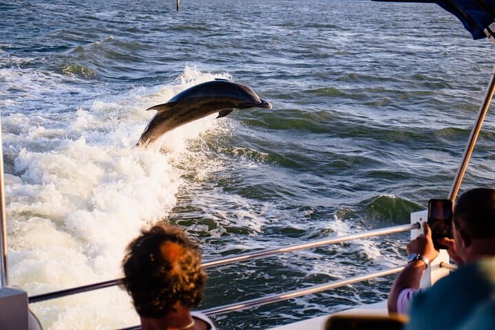 Estero Bay Dolphin and Shelling Cruise from Fort Myers Beach photo 2