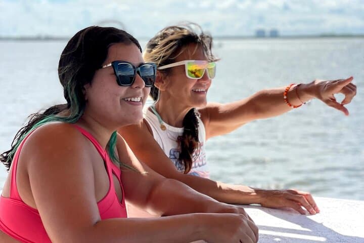 Estero Bay Dolphin and Shelling Cruise from Fort Myers Beach photo 5