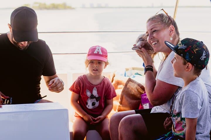 Estero Bay Dolphin and Shelling Cruise from Fort Myers Beach