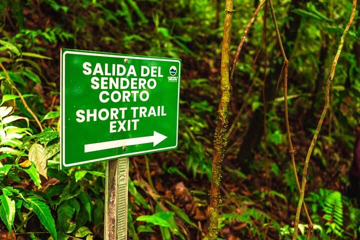 Arenal Volcano Viewpoint Trail: Observatory Lodge Sunset Hike photo 6