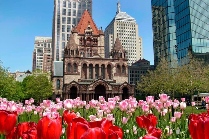 Explore Boston and Cambridge: A Private Half-Day Driving Tour Through History and Culture photo 3