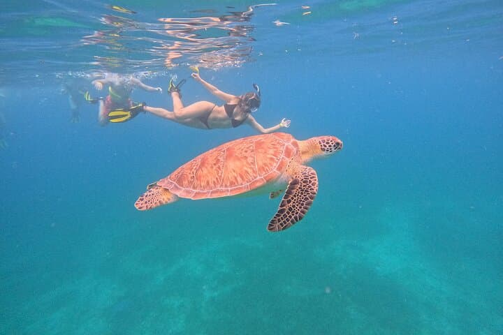 Culebra Day Trip: Swim with Turtles and Flamenco Beach Ferry Adventure photo 2