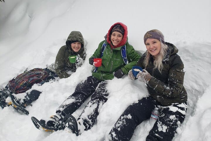Guided Snowshoe Tour at Mt. Bachelor — Bend, Oregon Winter Adventure photo 3