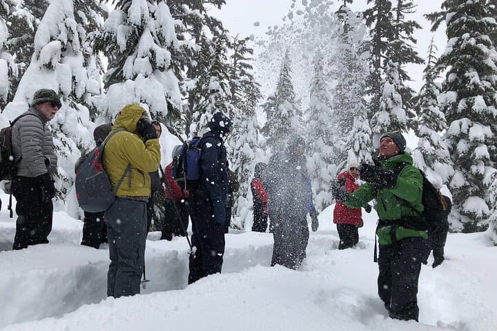 Guided Snowshoe Tour at Mt. Bachelor — Bend, Oregon Winter Adventure photo 5