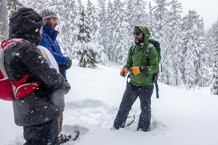 Guided Snowshoe Tour at Mt. Bachelor — Bend, Oregon Winter Adventure photo 6