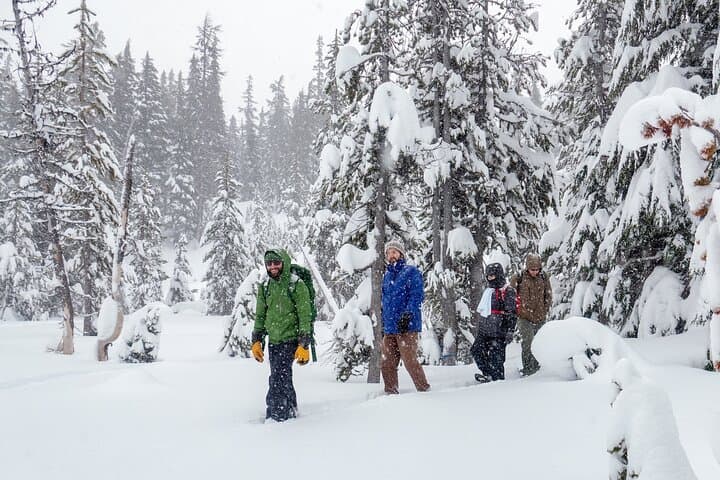 Guided Snowshoe Tour at Mt. Bachelor — Bend, Oregon Winter Adventure photo 4