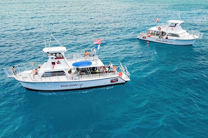 Waikiki to Diamond Head Sunset BYOB Cruise — Evening Waikiki Harbor Boat Tour photo 6