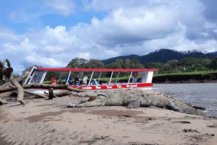 Tarcoles River Crocodiles and Monkey-Spotting Day Tour from Puerto Caldera photo 2