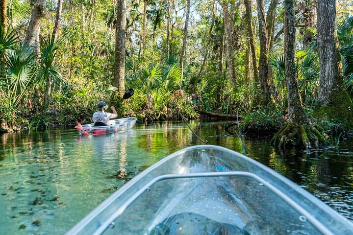 Glass-Bottom Kayak Eco Tour at Rainbow Springs — Clear Kayaking in Dunnellon photo 2