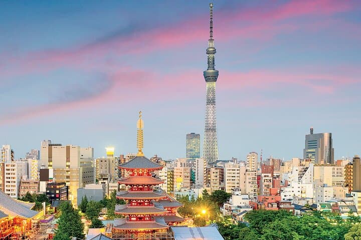 Tokyo Night Tour — Customizable Neon Nights, Senso‑ji Peace & Odaiba Views photo 3