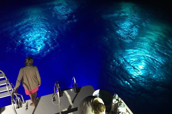 Oahu Night Dive — Certified 2-Tank Twilight & Night Scuba Charter photo 3