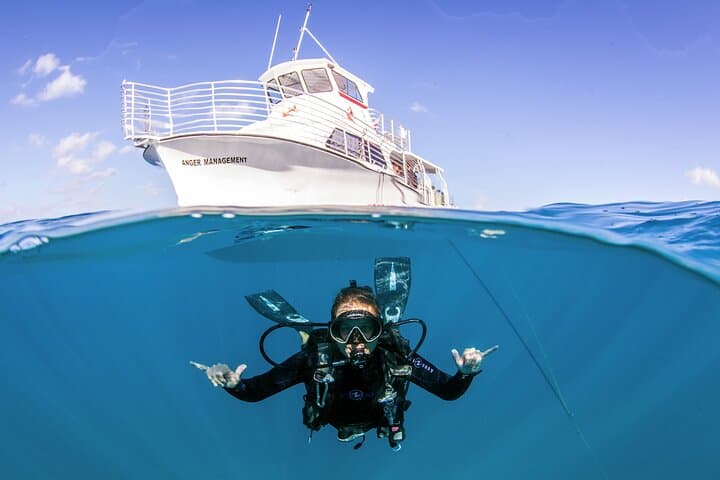 Discover Scuba Diving in Waikiki: Guided Reef Dives in Honolulu