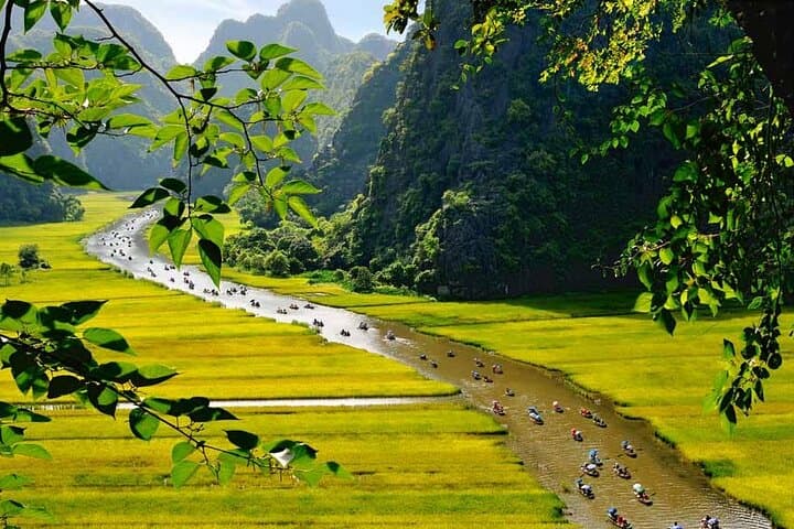 Ninh Binh Day Tour: Tam Coc Sampan, Mua Cave Summit & Hoa Lu Small-Group Experience