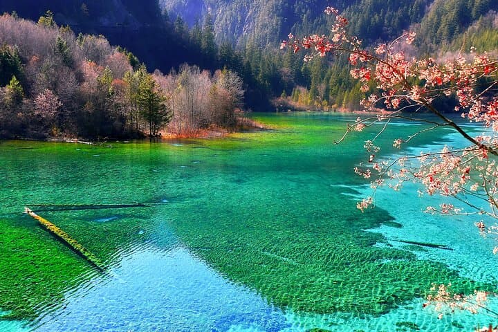 3-Day Private Jiuzhaigou & Huanglong Tour from Chengdu by High-Speed Rail photo 2