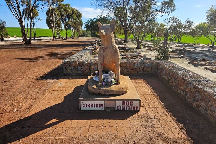 Wave Rock and Mulka's Cave Day Tour from Perth — Wildflowers, Rock Art & Outback BBQ photo 4