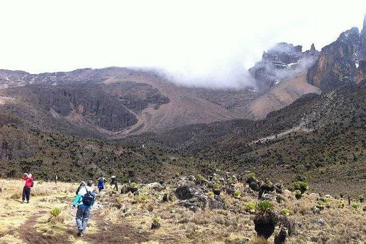 Sirimon Route Day Hike to Old Moses Camp — Full-Day Mount Kenya Adventure photo 4