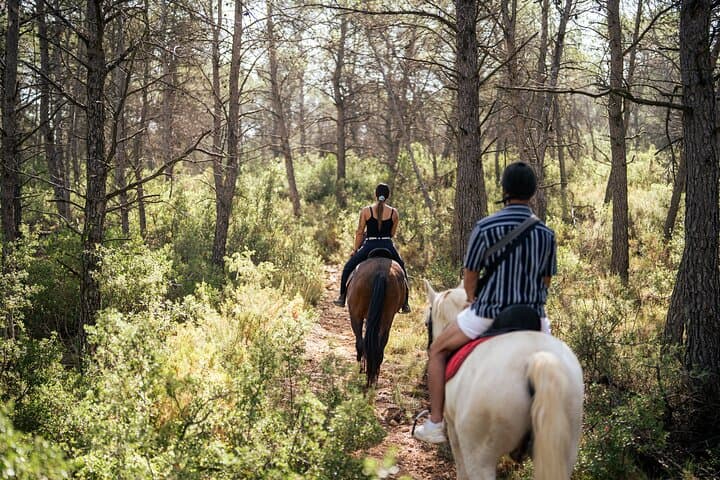 Horseback Riding and Wine Tasting in Utiel-Requena from Valencia