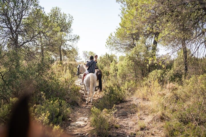 Horseback Riding and Wine Tasting in Utiel-Requena from Valencia photo 4