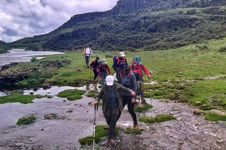 6-Day Bale Mountains Trekking: High-Alpine Hikes, Harenna Forest & Ethiopian Wolf photo 4