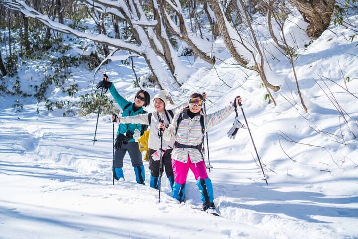 Bamboo Ice Cave Snowshoeing in Noboribetsu — Guided Winter Tour photo 2