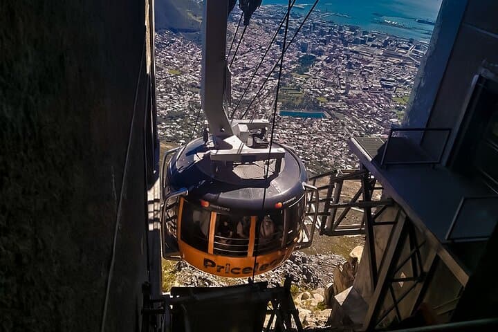 Full-Day Cape Peninsula Tour: Table Mountain, Chapman's Peak, Cape Point & Boulders Penguin Colony photo 4