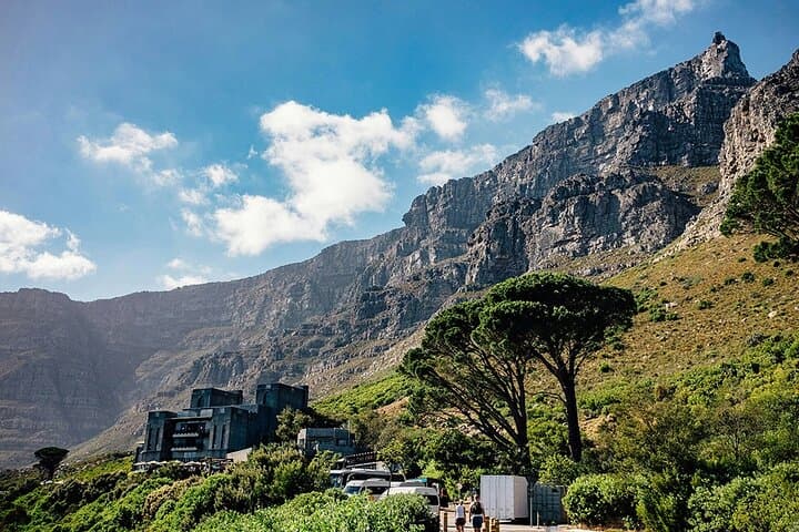Full-Day Cape Peninsula Tour: Table Mountain, Chapman's Peak, Cape Point & Boulders Penguin Colony photo 2