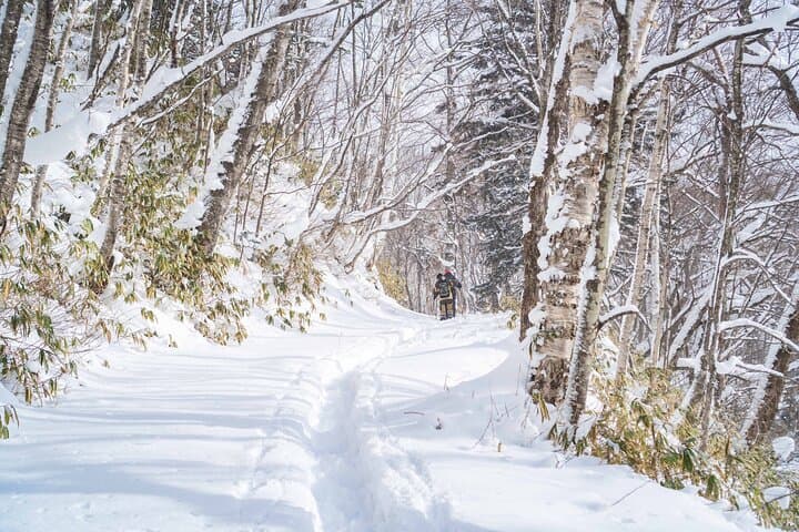 Bamboo Ice Cave Snowshoeing in Noboribetsu — Guided Winter Tour photo 6