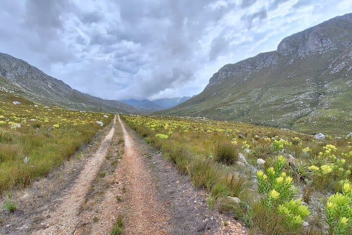 11-Day Western Cape Glamping & Self-Drive in a Suzuki Jimny photo 3