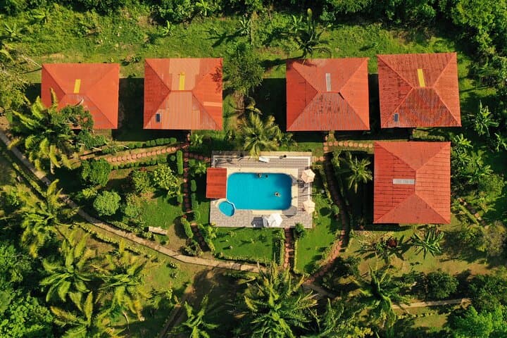 Eco Jungle Fishing & Adventure: 5-Day Tambopata Lodge Experience photo 4