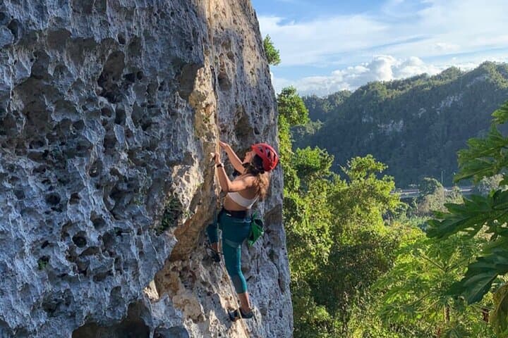 Rock Climbing in Puerto Rico’s Northern Karst: Guided Climbs at Roca Norte photo 6