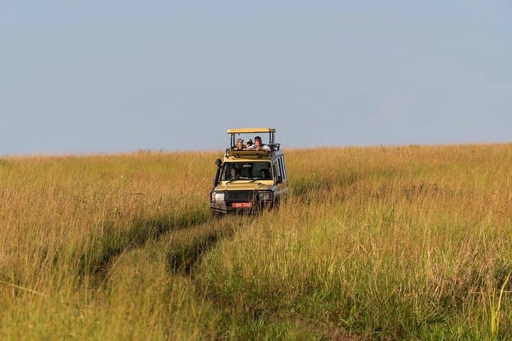 Murchison Falls Safari: 3-Day Nile Cruise, Rhino Tracking & Game Drives photo 4