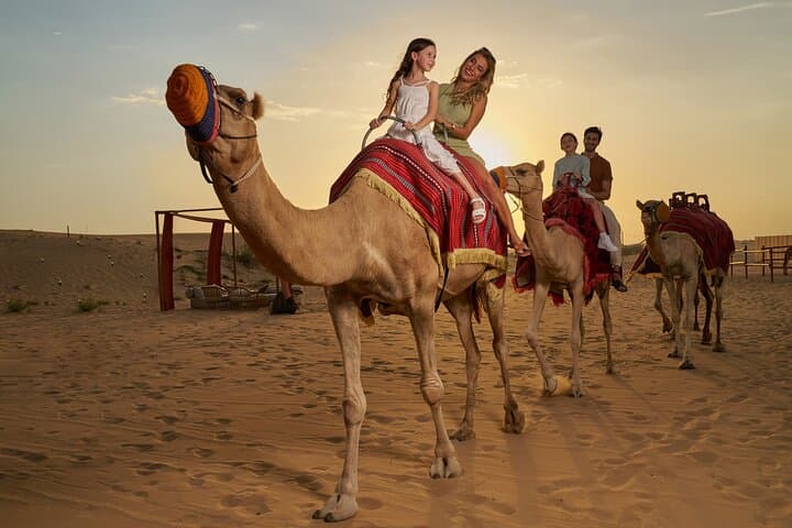 Dubai Evening Desert Safari: BBQ Dinner, Dune Bashing & Noble Camp Experience photo 3