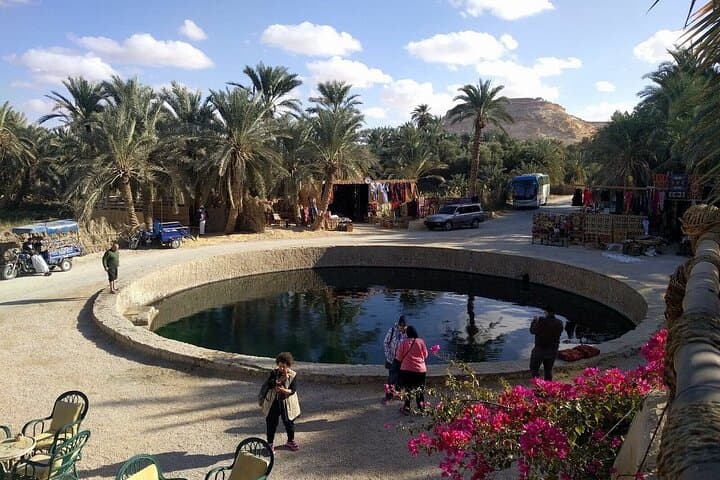 Siwa Private Tour: Salt Lake, Cleopatra Spring & Sunset Desert Safari photo 6