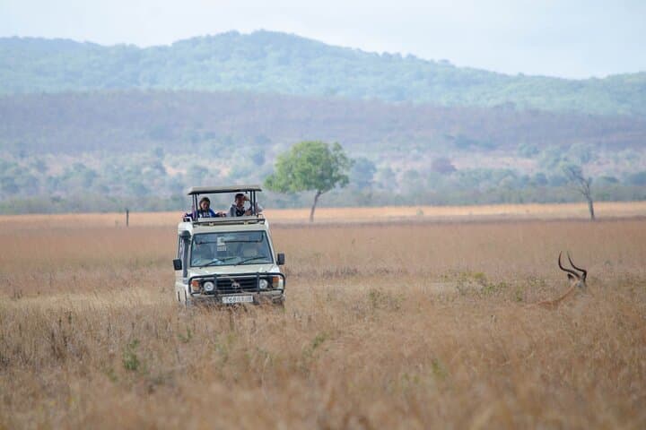 Mikumi National Park Safari from Zanzibar — 2-Day Big Game & Birding Escape photo 3