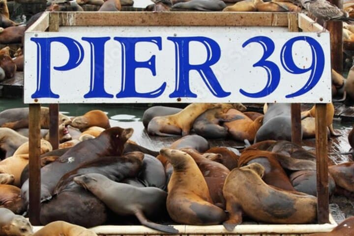 Flavors of Fisherman's Wharf: Self-Guided Walking Food & History Tour photo 2