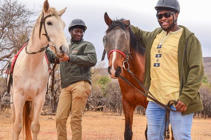 Horseback Riding Safari from Johannesburg to Hartbeespoort — Day Ride with Game Viewing