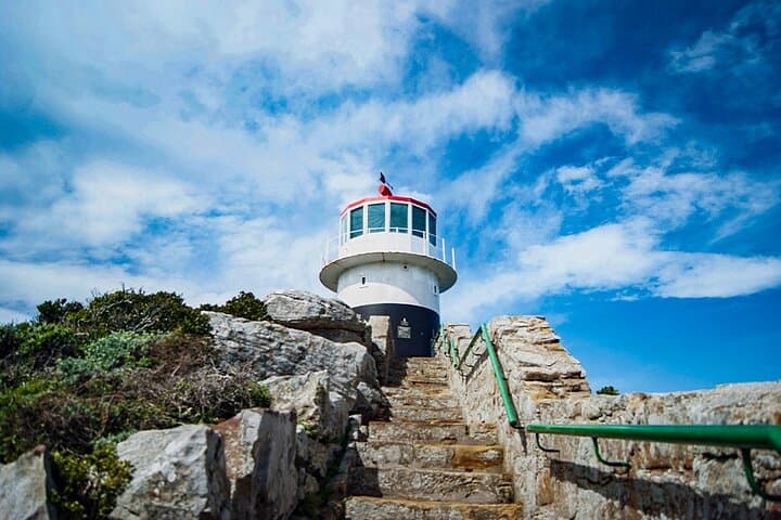 Cape Peninsula Full-Day Drive: Cape Point, Boulders Penguins & Constantia Wine Tasting