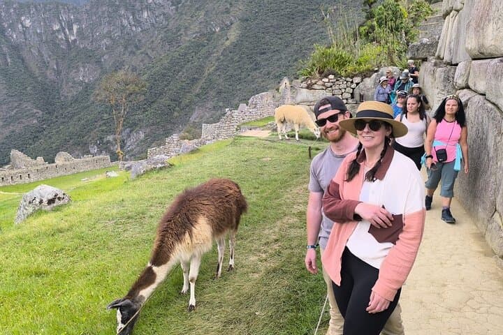 One-Day Machu Picchu from Cusco: Complete Guide to the Inca Citadel photo 4
