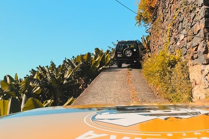 West Madeira Jeep Safari: Cabo Girão, Fanal & Porto Moniz Full-Day 4x4 Tour photo 3