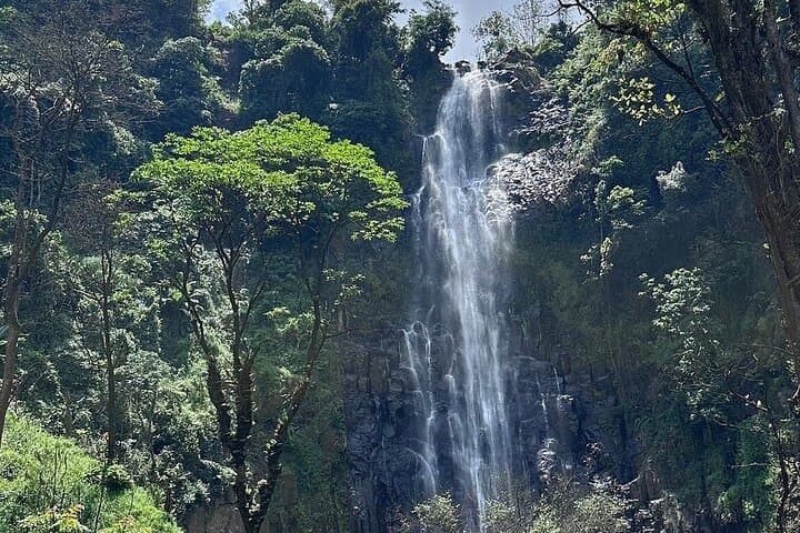 Materuni Waterfalls, Chagga Coffee & Kikuletwa Hot Springs: Full-Day Cultural Hike from Arusha