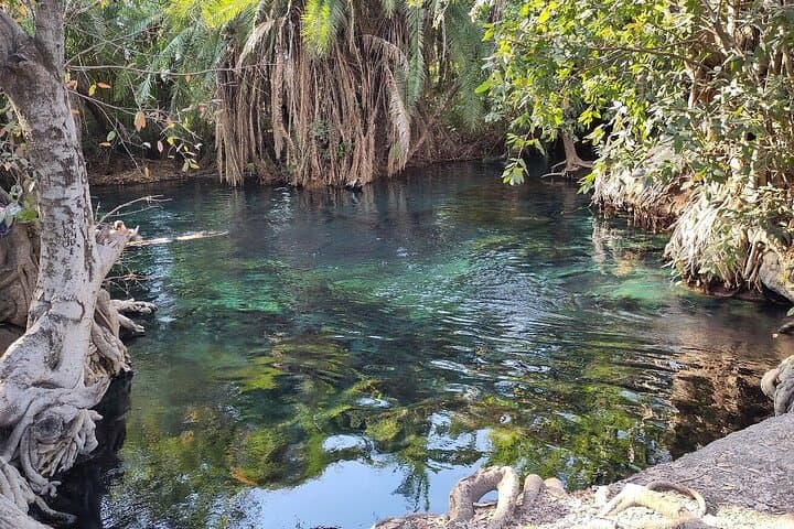 Materuni Waterfalls, Chagga Coffee & Kikuletwa Hot Springs: Full-Day Cultural Hike from Arusha photo 2