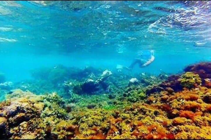 Catamaran Cruise from Montego Bay to Dunn's River Falls: Sail, Snorkel & Climb photo 3