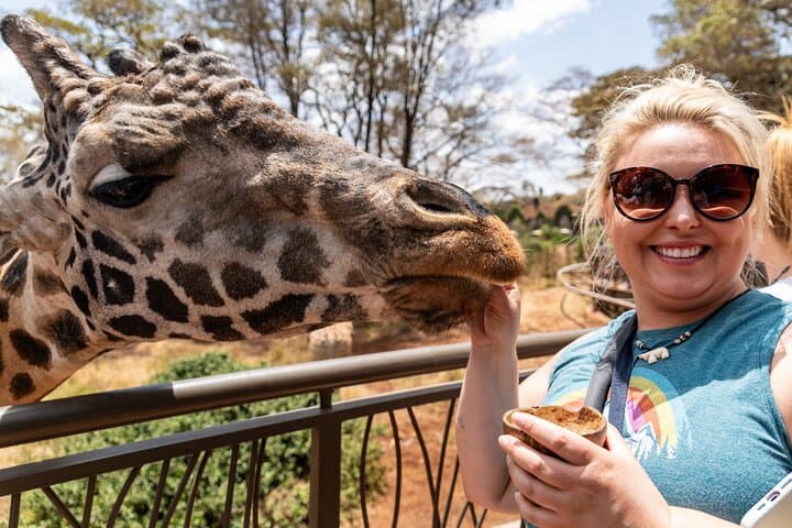 Nairobi National Park and Giraffe Centre: Morning Safari, Elephant Orphanage & Conservation Experience photo 3