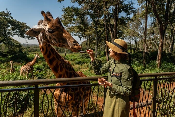 Exploring Nairobi National Park and Giraffe Centre: A Wildlife Adventure Near Nairobi photo 3