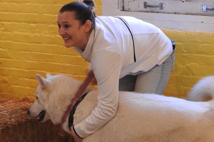 Barn Hunt in NYC: Hide & Seek Training for Dogs in a Hay-Filled Barn photo 6