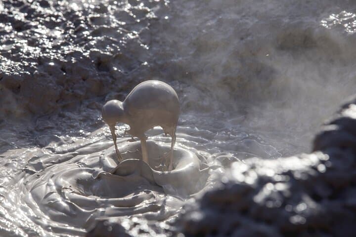 Wai-O-Tapu Thermal Wonderland Half‑Day Tour from Rotorua — Champagne Pool & Lady Knox photo 3