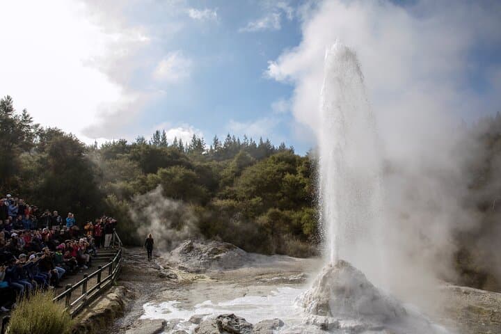 Wai-O-Tapu Thermal Wonderland Half‑Day Tour from Rotorua — Champagne Pool & Lady Knox photo 5