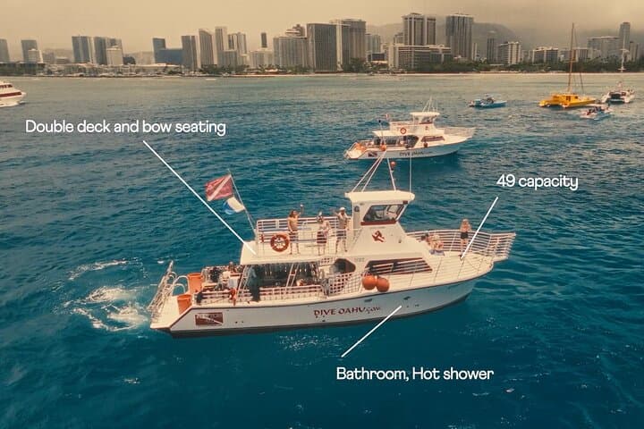 Turtle Canyon Waikiki Snorkel Adventure: Guided Boat Charters from Kewalo Harbor