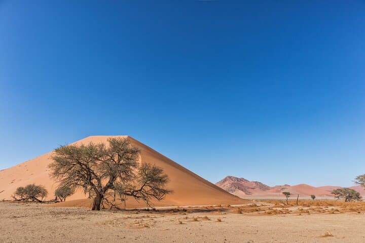 2-Day Private Sahara Tour from Marrakech to Zagora — Luxury Desert Camp & Camel Trek photo 4
