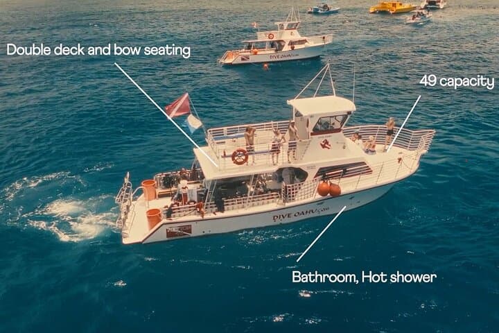 Discover Scuba Diving in Waikiki: Guided Reef Dives in Honolulu photo 2